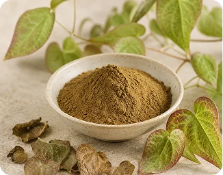 Pine bark extract botanical ingredient